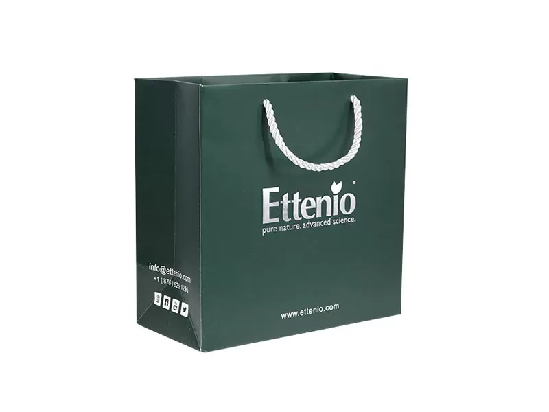 Custom Paper Bags With Handles