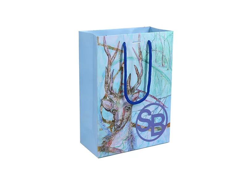 Custom Paper Gift Bags