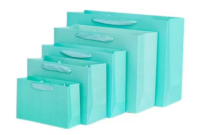 Custom Paper Grocery Bags Testing & Performance Validation