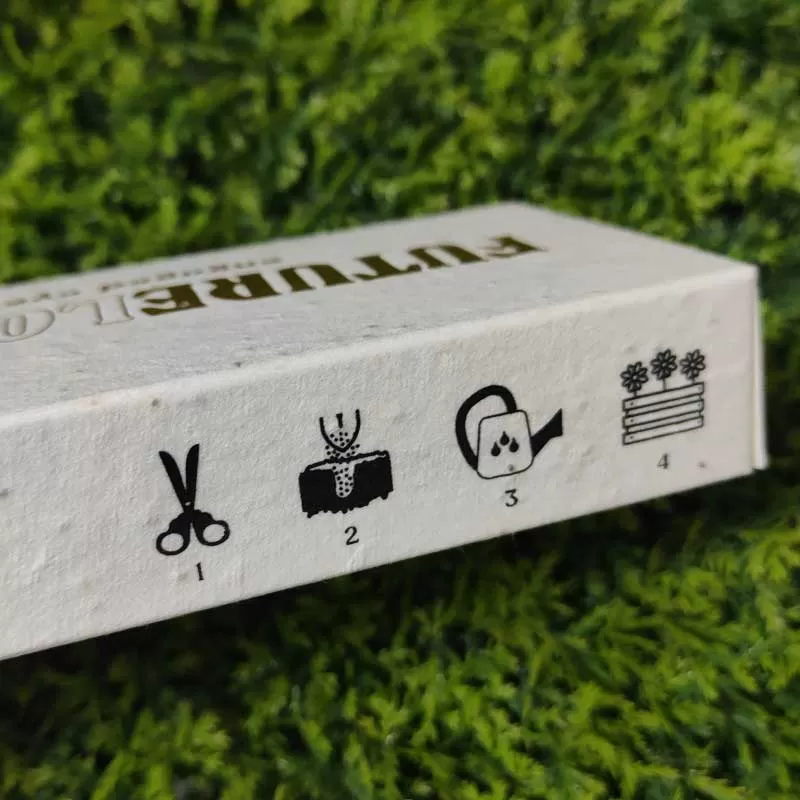 Custom Seed Boxes