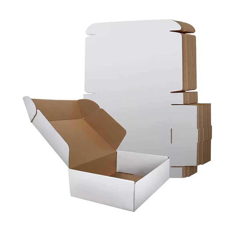 Expandable Kraft Mailers