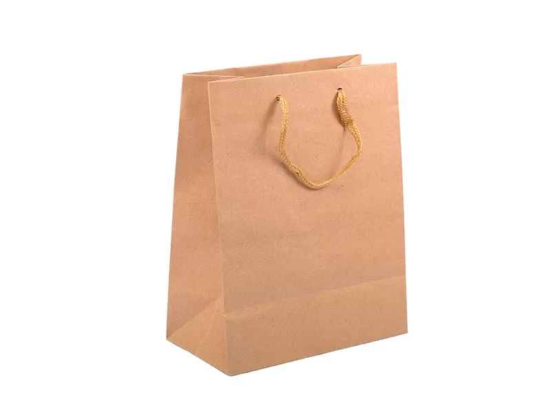 Custom Kraft Paper Bags