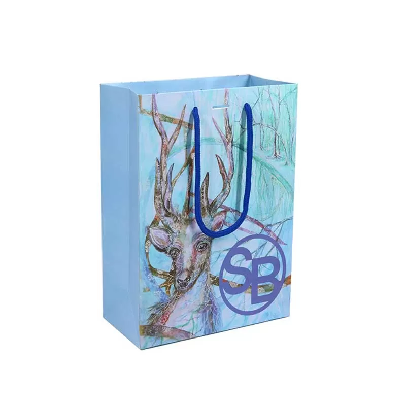 Luxury Paper Bags