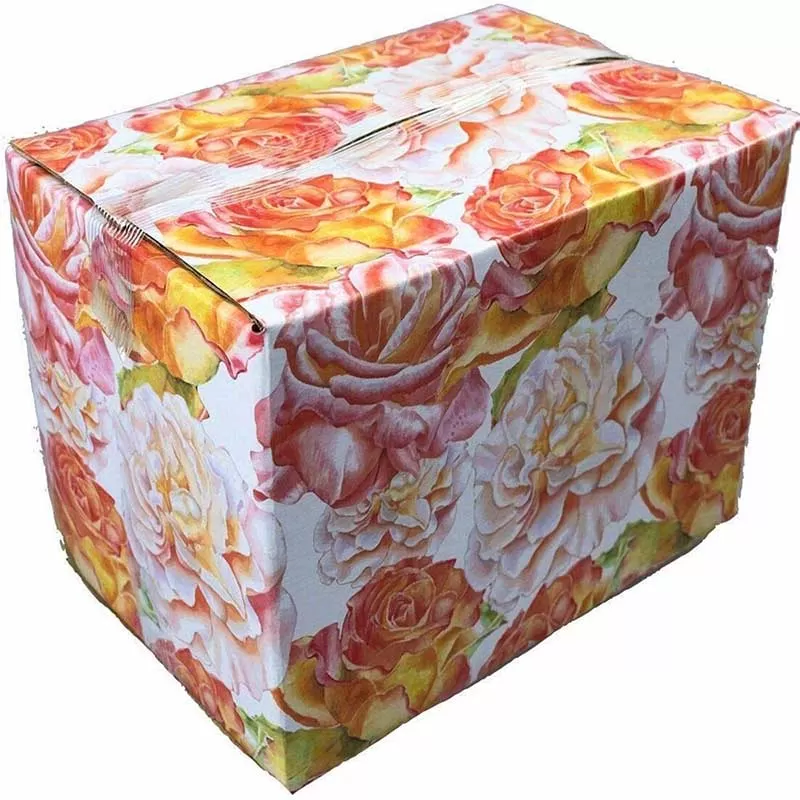 Slotted Corrugated Cartons